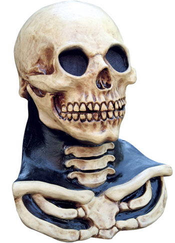 Скелет с черепом - фото 34735