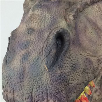 Динозавр T-REX - фото 37919