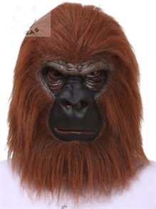 Орангутанг коричневый (обезьяна)