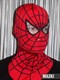 Маска Человека Паука (Spider Man) 1.0