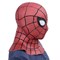 Человек-паук: Вдали от дома 2019 (Spider-Man) - фото 34227