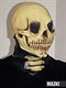 Скелет с черепом - фото 34737