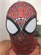 Человек Паук (Spider Man) 2.0 - фото 38324