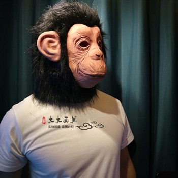 обезьяна Шимпанзе - фото 31071
