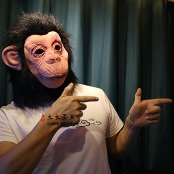 обезьяна Шимпанзе - фото 31072