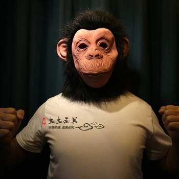 обезьяна Шимпанзе - фото 31073