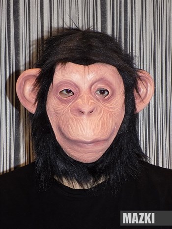 обезьяна Шимпанзе - фото 31337