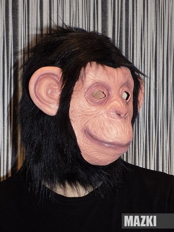 обезьяна Шимпанзе - фото 31338