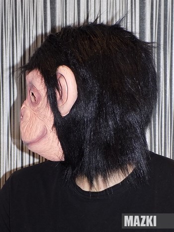 обезьяна Шимпанзе - фото 31339