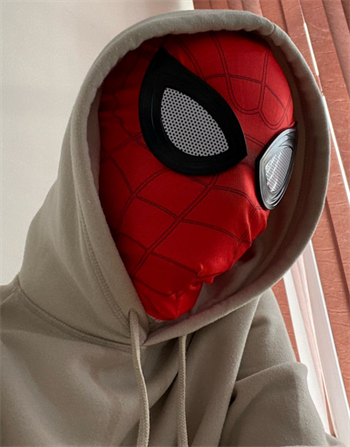 Человек Паук (Spider Man) 2.0 - фото 38330