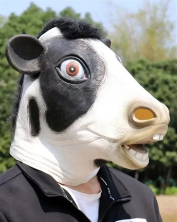 Корова - фото 39384