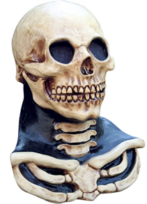 Скелет с черепом