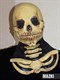 Скелет с черепом - фото 34739