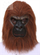 Орангутанг коричневый (обезьяна) - фото 35434
