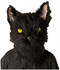 Черный Кот (Мастер и Маргарита) - фото 37993